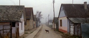 Karpopotnik